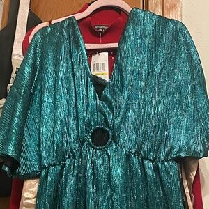 Shimmering Teal Pleated Pants